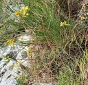 Galeriebild 1
