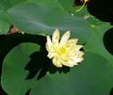 Galeriebild 2