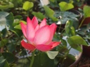 Galeriebild 1
