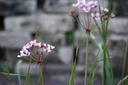 Galeriebild 1