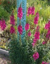 Galeriebild 1