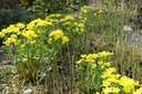 Galeriebild 1