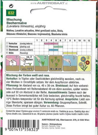 Galeriebild 1