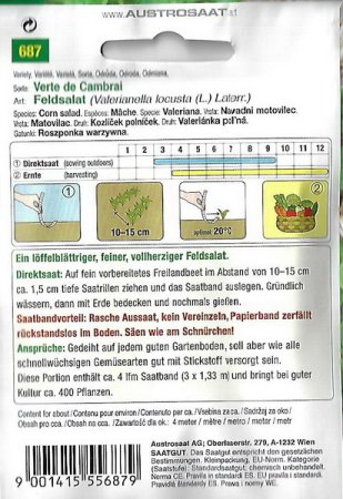 Galeriebild 1