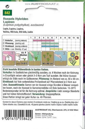 Galeriebild 1