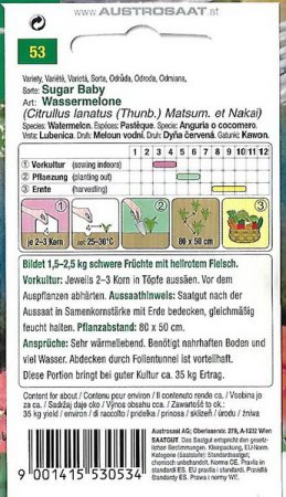 Galeriebild 1