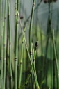 Galeriebild 1