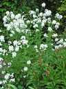 Galeriebild 1