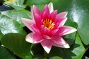 Galeriebild 1