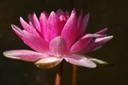 Galeriebild 2