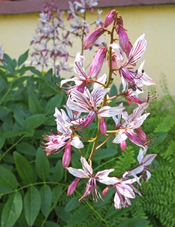 Galeriebild 1