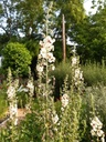 Galeriebild 2