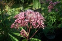 Galeriebild 1