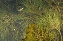 Galeriebild 5