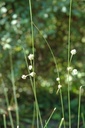 Galeriebild 1
