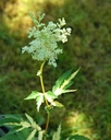 Galeriebild 1