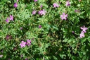 Galeriebild 1