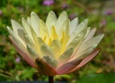 Galeriebild 1