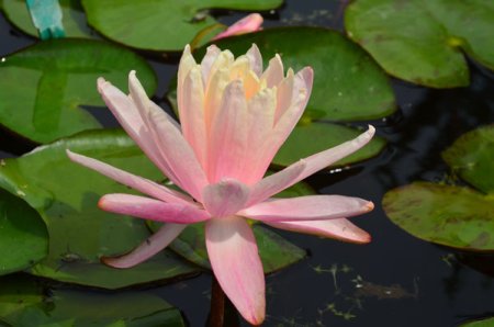 Galeriebild 2