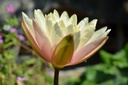Galeriebild 3