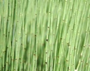 Galeriebild 1