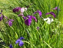 Galeriebild 3