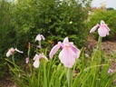 Galeriebild 1