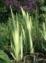 Galeriebild 1