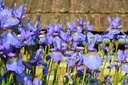 Galeriebild 2