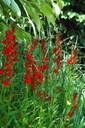 Galeriebild 1