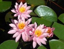 Galeriebild 2