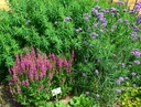 Galeriebild 1