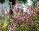 Galeriebild 2