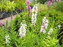 Galeriebild 1