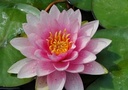 Galeriebild 1