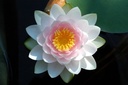 Galeriebild 3