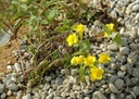 Galeriebild 1