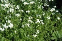 Galeriebild 1