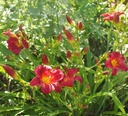 Galeriebild 1