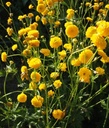 Galeriebild 1