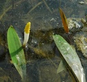 Galeriebild 1