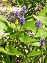 Galeriebild 2