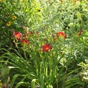 Galeriebild 2