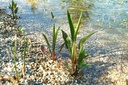 Galeriebild 1