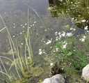 Galeriebild 3