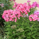 Galeriebild 1