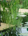 Galeriebild 1