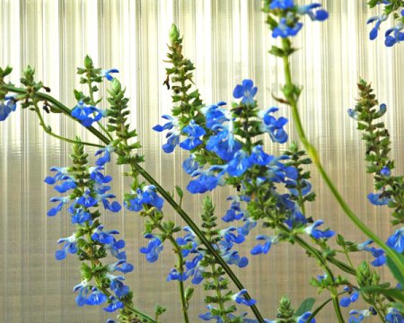 Galeriebild 1