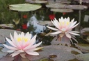 Galeriebild 1