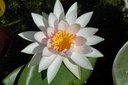Galeriebild 2